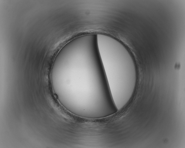 X0000113630681200909181305