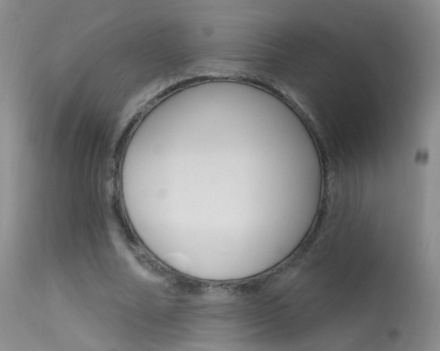 X0000113630682200909181305