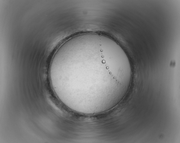 X0000113630683200909181305