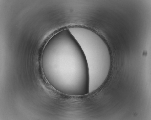 X0000113630684200909181305