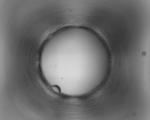 X0000113630685200909181305