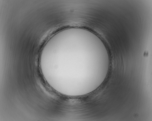 X0000113630686200909181305