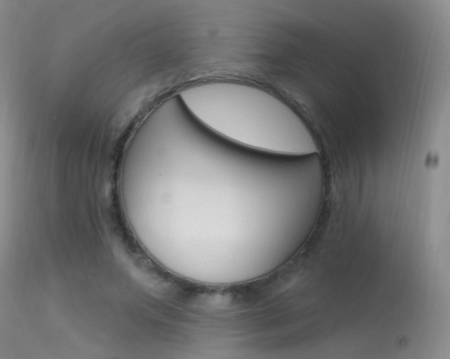 X0000113630687200909181305