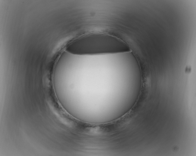X0000113630688200909181305