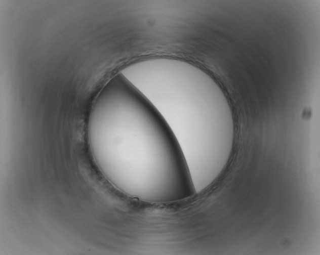 X0000113630689200909181305
