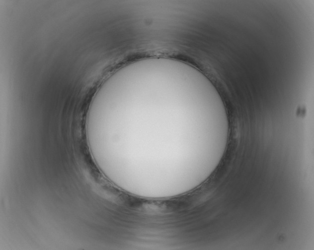 X0000113630690200909181305