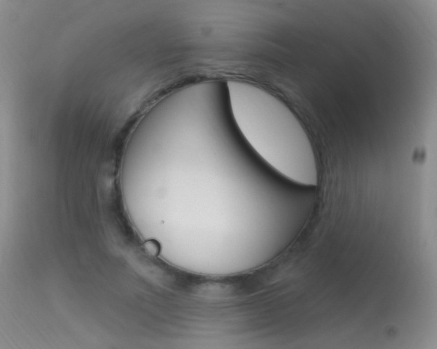 X0000113630691200909181305