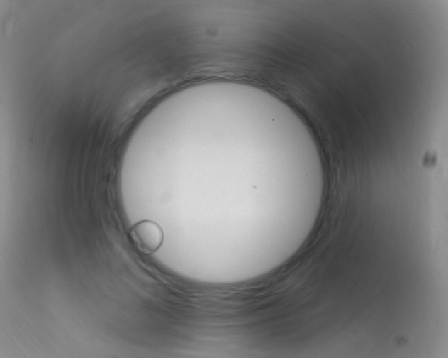 X0000113630692200909181305
