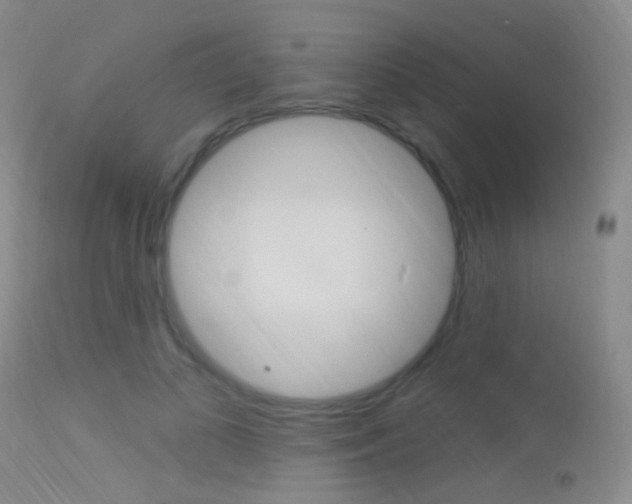 X0000113630693200909181305
