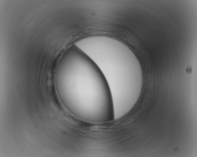 X0000113630700200909181305
