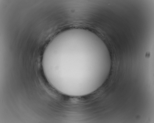 X0000113630703200909181305