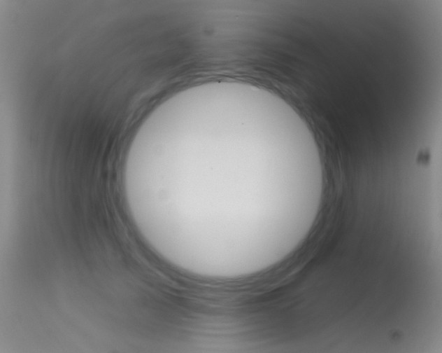 X0000113630705200909181305