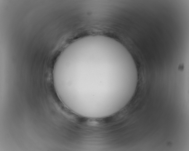 X0000113630706200909181305