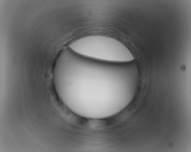 X0000113630707200909181305