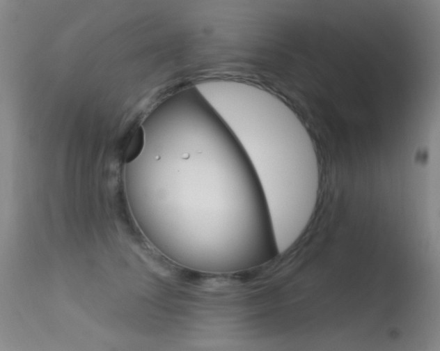 X0000113630708200909181305