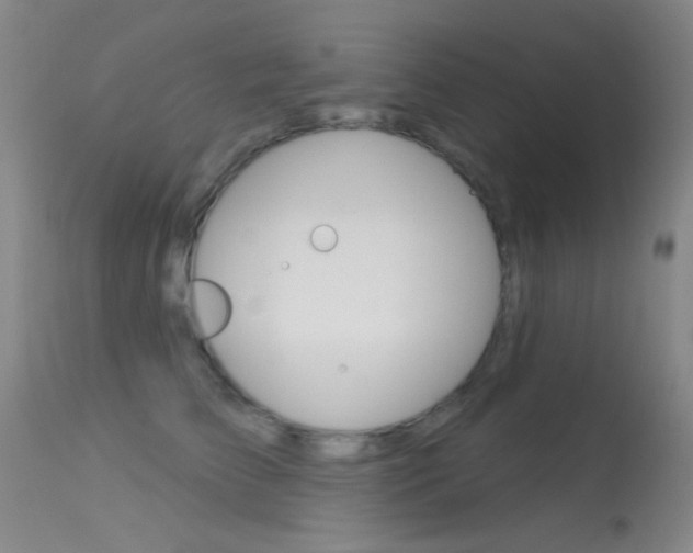 X0000113630709200909181305