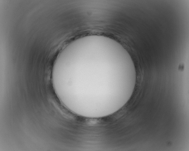 X0000113630710200909181305