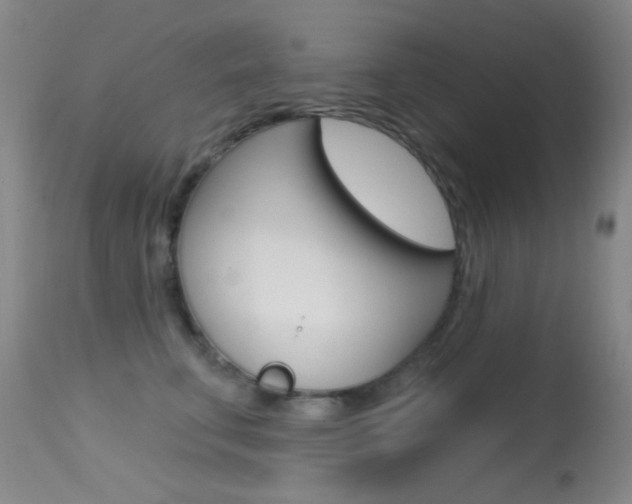 X0000113630711200909181305