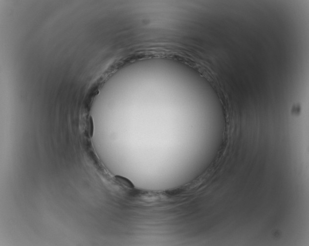 X0000113630712200909181305