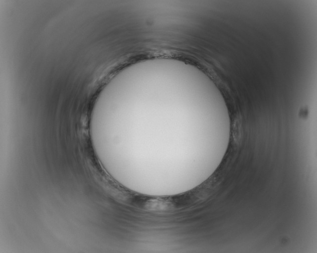 X0000113630714200909181304