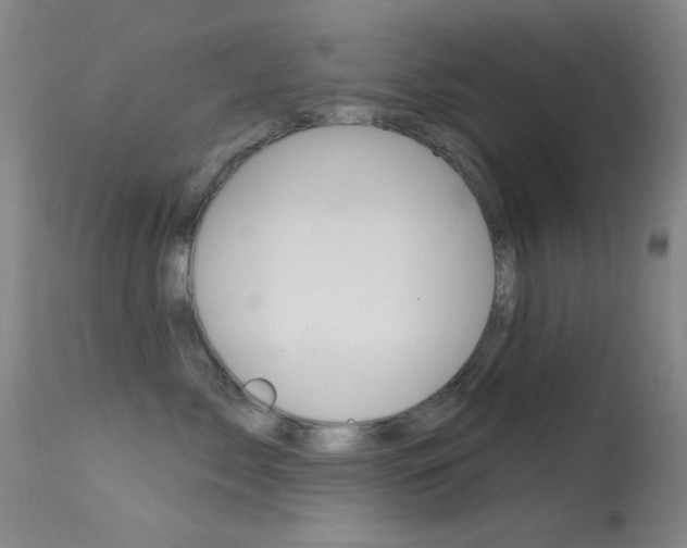 X0000113630717200909181304