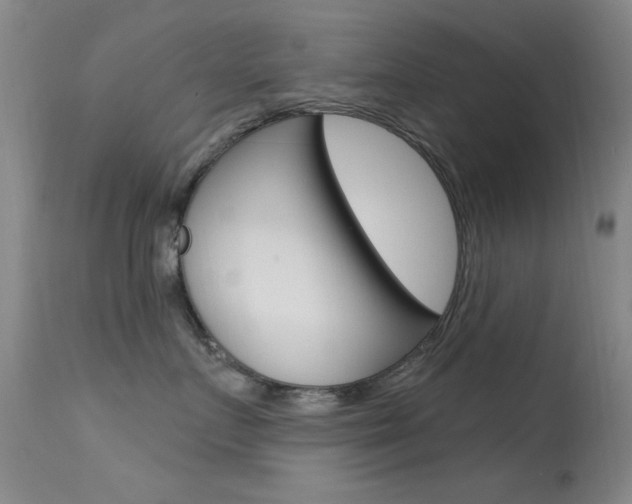 X0000113630719200909181304