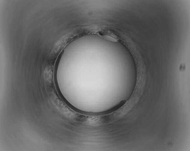 X0000113630720200909181304