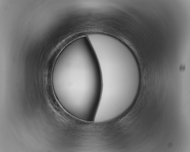 X0000113630722200909181304