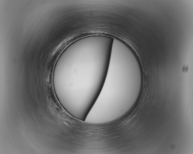 X0000113630723200909181304
