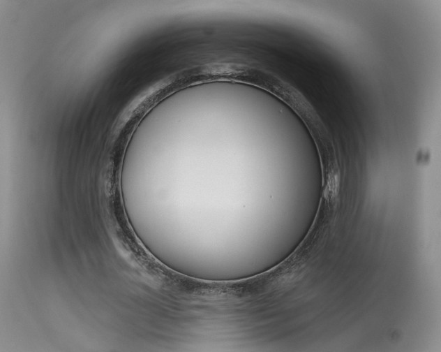 X0000113630724200909181304