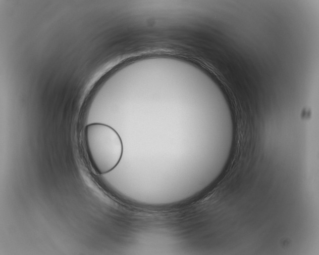 X0000113630726200909181304