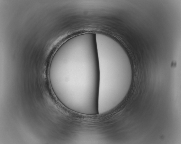 X0000113630727200909181304
