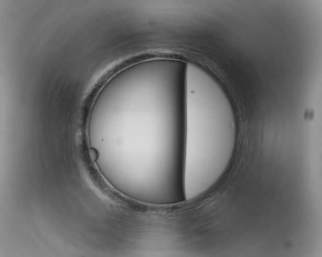 X0000113630728200909181304