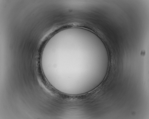 X0000113630730200909181304