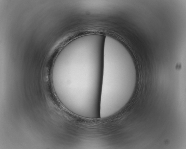 X0000113630731200909181304