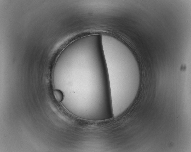 X0000113630732200909181304