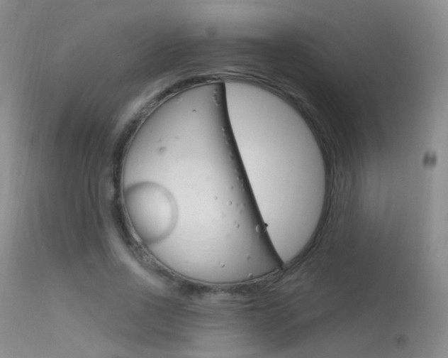 X0000113630734200909181304