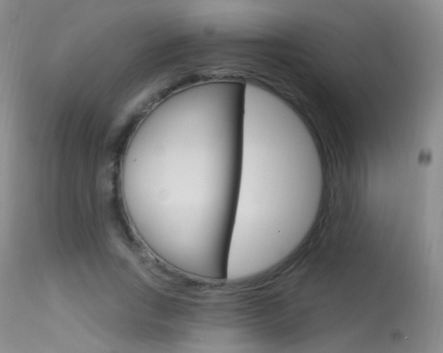 X0000113630735200909181304