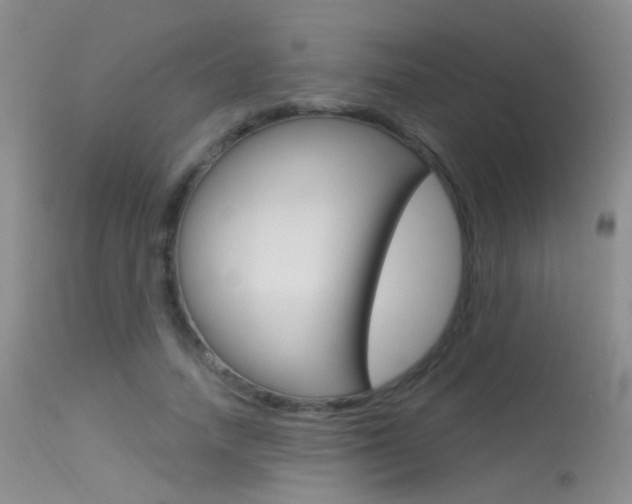 X0000113630738200909181304