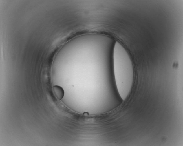 X0000113630740200909181304
