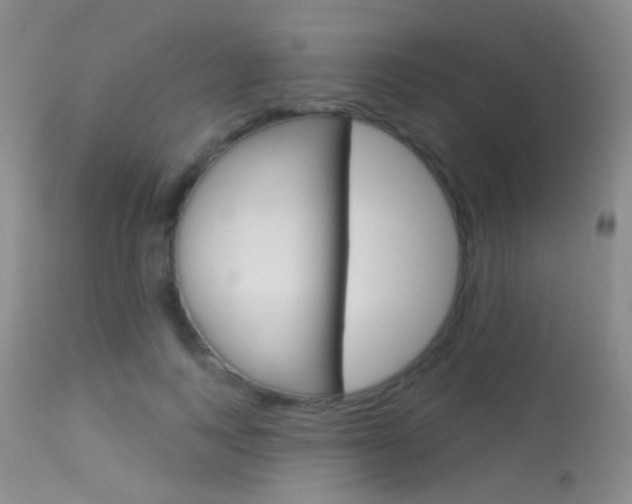 X0000113630743200909181304