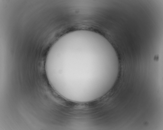 X0000113630745200909181304