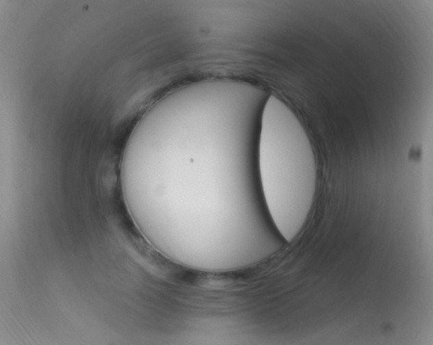 X0000113630746200909181304