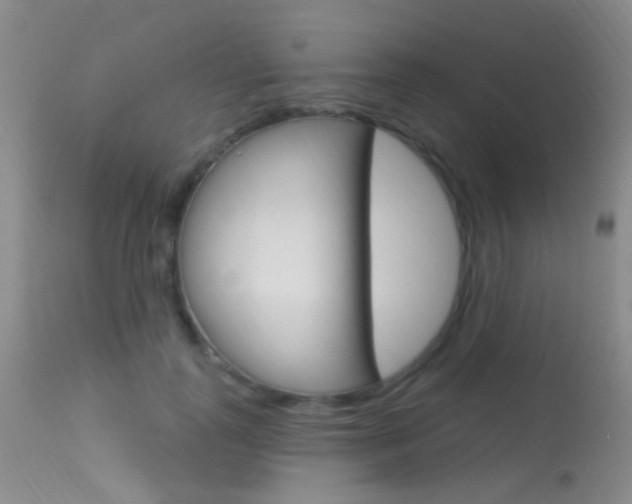 X0000113630747200909181304