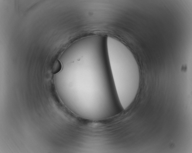 X0000113630748200909181304