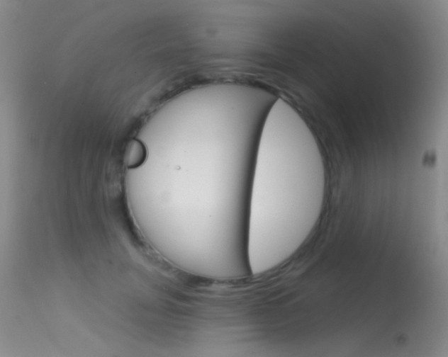 X0000113630751200909181304