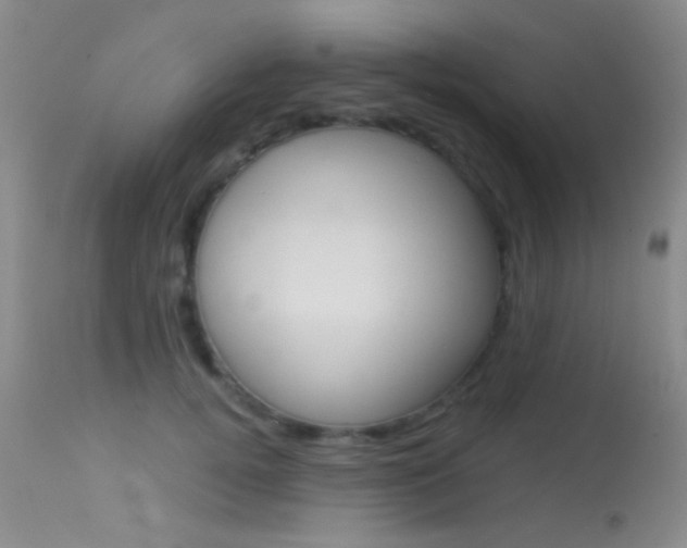 X0000113630752200909181304