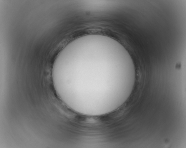 X0000113630753200909181304
