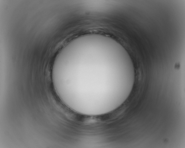 X0000113630754200909181304