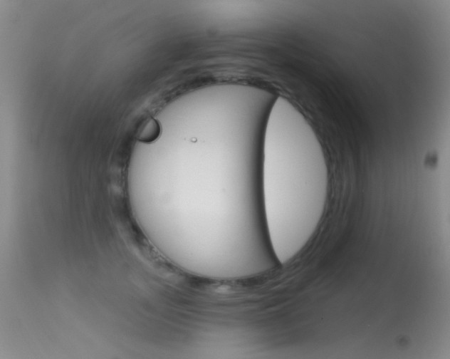 X0000113630755200909181304